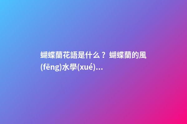 蝴蝶蘭花語是什么？蝴蝶蘭的風(fēng)水學(xué)應(yīng)用